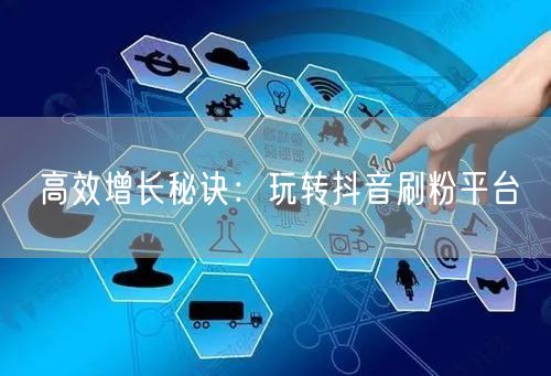 高效增长秘诀：玩转抖音刷粉平台
