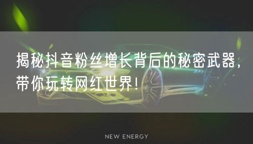 揭秘抖音粉丝增长背后的秘密武器，带你玩转网红世界！