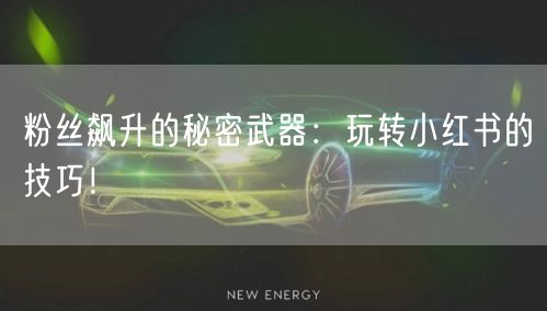 粉丝飙升的秘密武器：玩转小红书的技巧！