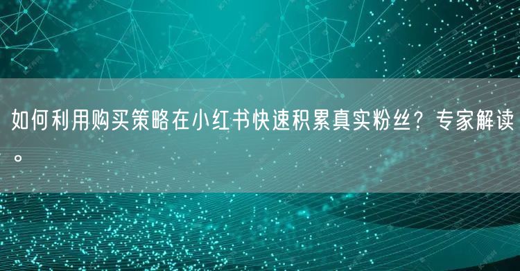 如何利用购买策略在小红书快速积累真实粉丝？专家解读。